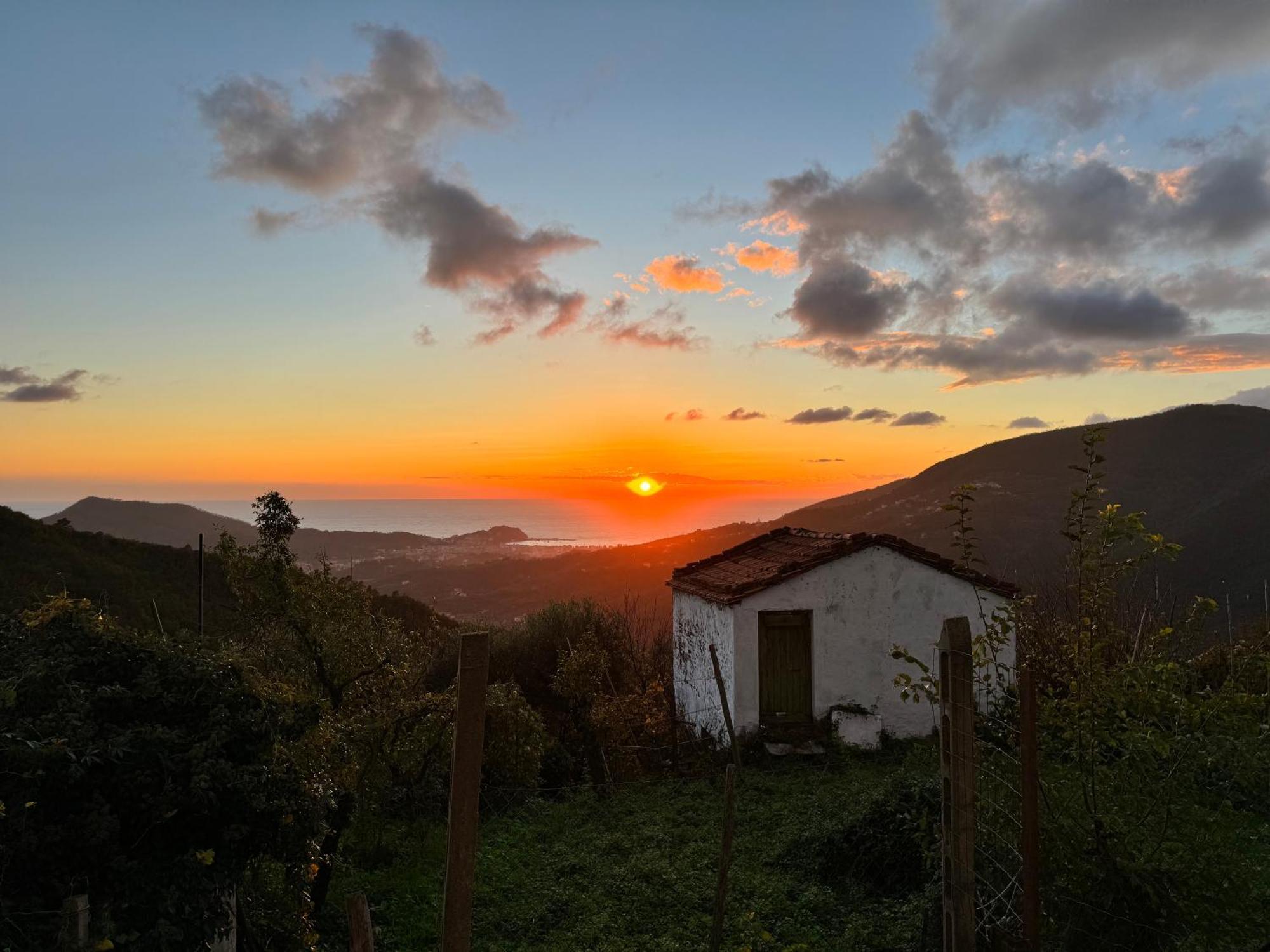 La Collina Sul Mare - Casa Vacanze Sestri Levante Dış mekan fotoğraf