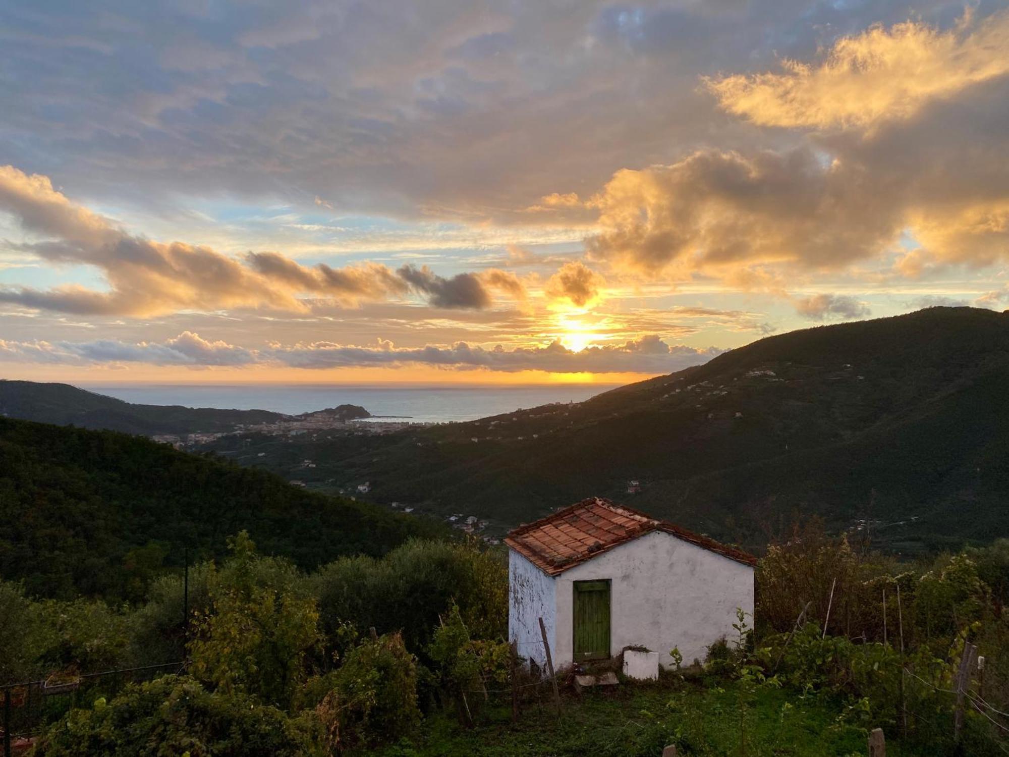 La Collina Sul Mare - Casa Vacanze Sestri Levante Dış mekan fotoğraf
